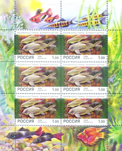 Russland. Fauna. Fische 1998. Kleinbogen.
