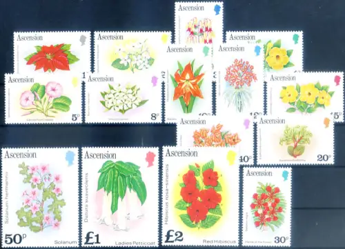 Aufstieg. Definitiv. Flora. Blumen 1981.