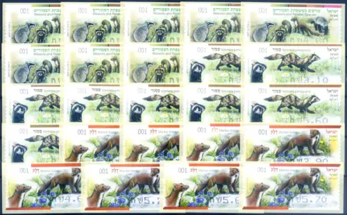 Israel. Frama Typ. Fauna. Mustelidi 2014.