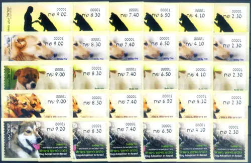 Israel. Typ Frama. Fauna. Hunde 2016.