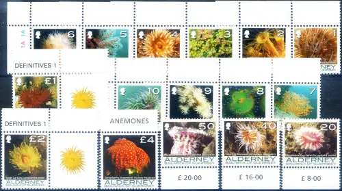Alderney. Definitiv. Korallen und Anemonen 2006-2007.