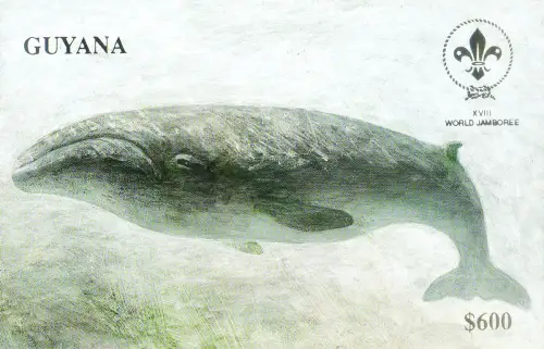 Guyana. Fauna. Wal 1993. Zettel.