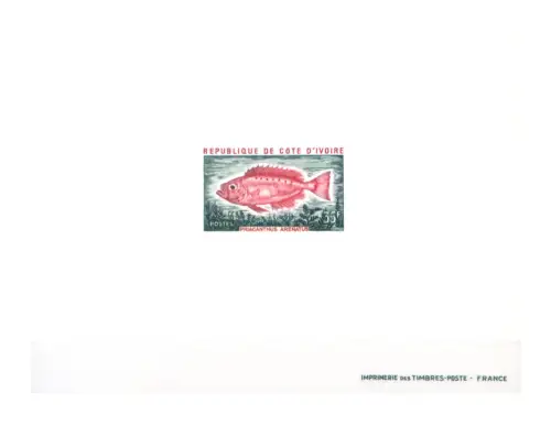 Elfenbeinküste. Fauna. Fisch 1973. Karton 'Probe'.