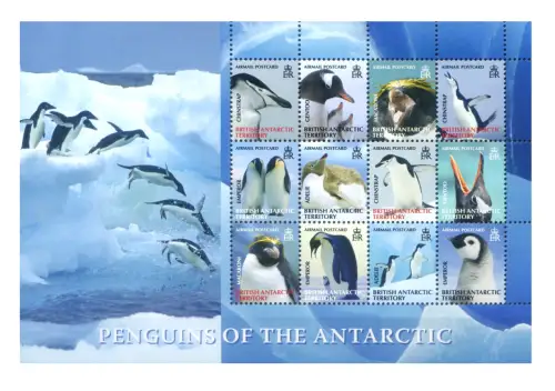 Britisches Antarktisgebiet. Fauna. Pinguine 2008.