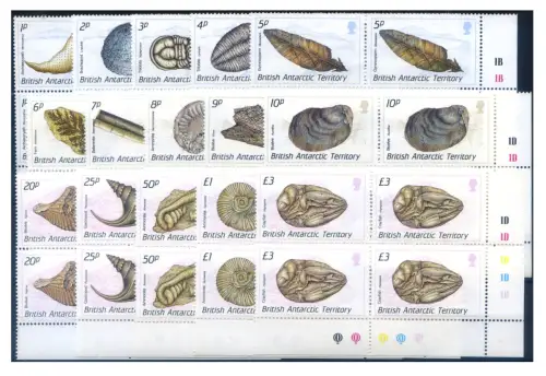 Britisches Antarktisgebiet. Definitiv. Fossilien 1990. 4er Blöcke.