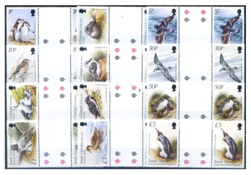 Südgeorgien. Definitiv. Fauna. Vögel 1999. Paare mit Zwischenräumen.