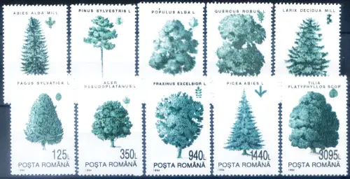 Rumänien. Definitiv. Bäume 1994.
