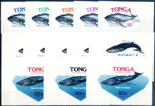 Tonga. Fauna. Wale 1977.
