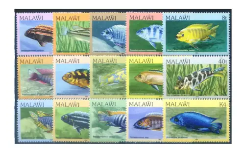 Malawi. Definitiv. Fische 1984.