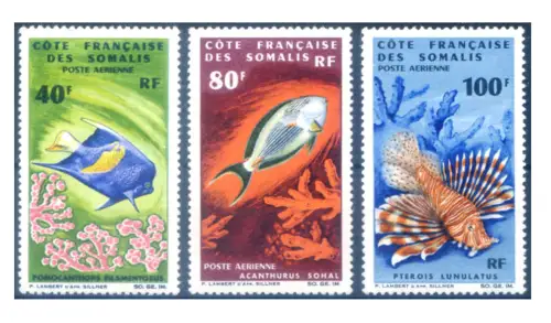 Somalische Küste. Definitiv. Fische 1966.