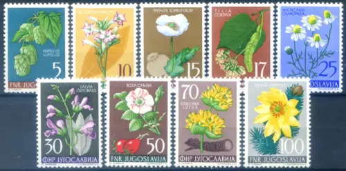 Jugoslawien. Lokale Flora 1955.