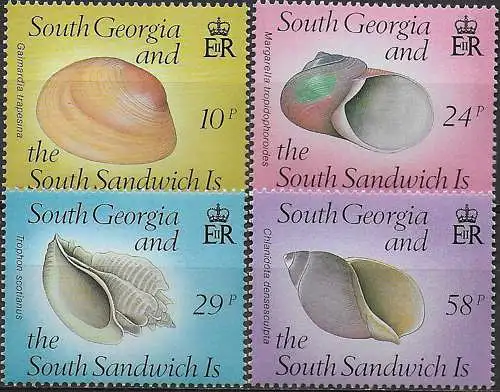 1988 South Georgia shells 4v. MNH SG n. 179/82