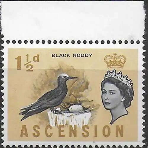 1963 Ascension Black Noddy 1½d. cobalt omitted MNH SG n. 71a