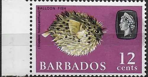 1965 Barbados Balloon Fish 12c. grey printing double MNH SG n. 329a