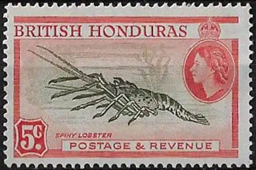 1962 British Honduras 5c. Spiny Lobster p. 14 MNH SG n. 183a