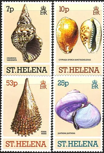 1981 St Helena Sea Shells 4v. MNH Michel n. 345euro48