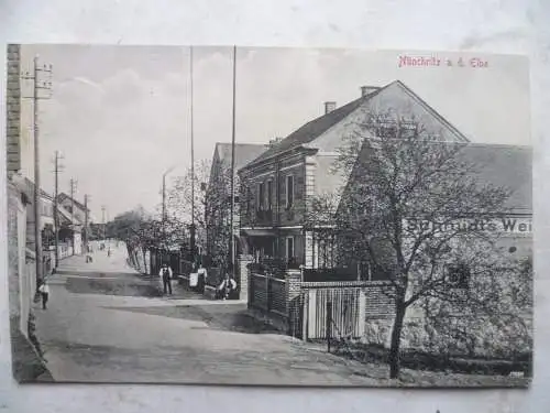 AK Nünchritz a.d. Elbe Schmidts Weinkelterei Restaurant u. Café