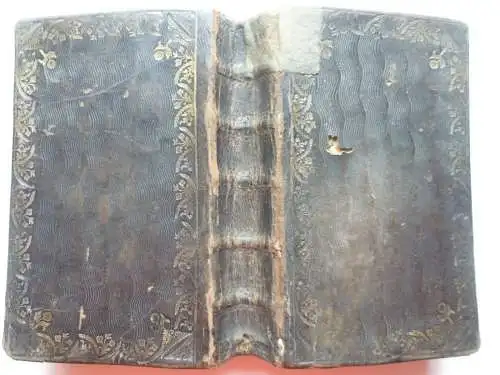 Seltenes Andachtsbuch Gott-Geheiligtes Jahr Prag 1723 mit Kupfern