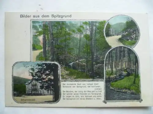 AK Coswig Bez. Dresden Bilder aus dem Spitzgrund