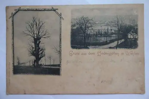 AK Lindengarten in Wehlen 2 Ansichten