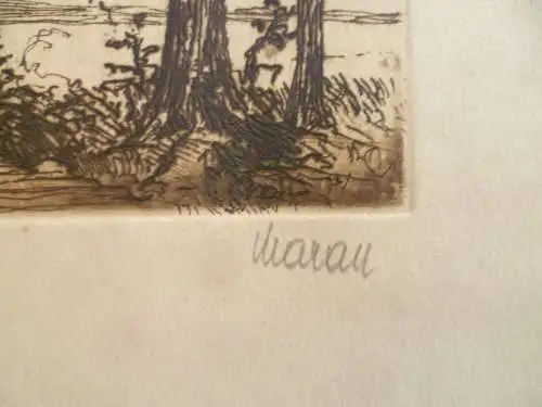 Landschaft mit Bäumen ORadierung S. G. Maran