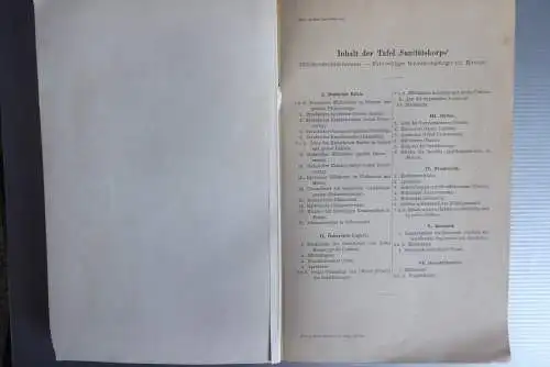 5 Chromolithos Uniformen um 1875 