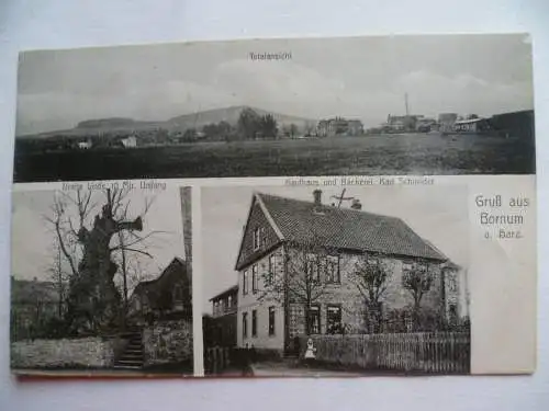 AK Bornum am Harz Totalansicht Linde Kaufhaus und Bäckerei