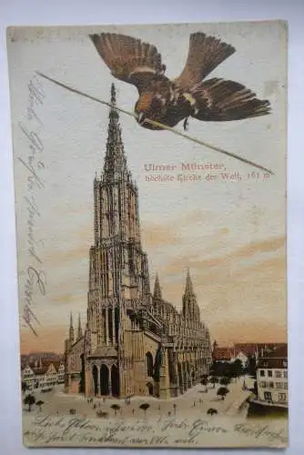 AK Ulm Ulmer Münster