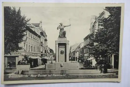 AK Großenhain Neuer Brunnen mit Frauenmarkt