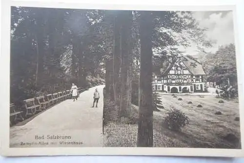 2 AK Bad Salzbrunn Zemplinallee mit Wiesenhaus / Schwedenteich