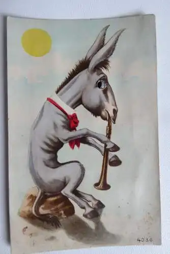 AK Scherzkarte Esel mit Flöte und Knopfauge