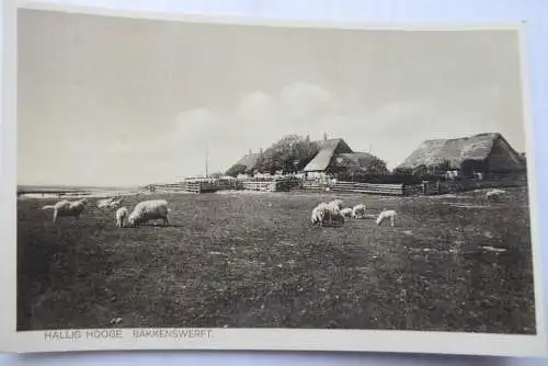 3 AK Nordseebad Wyk auf Föhr Halligen
