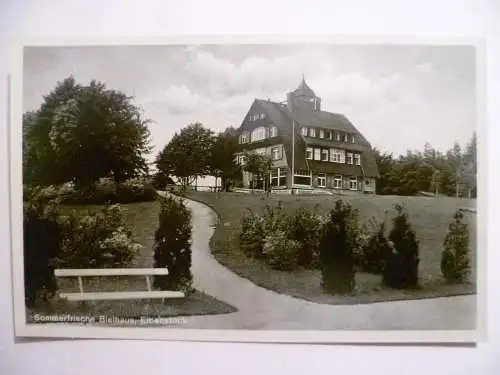 AK Eibenstock Sommerfrische Bielhaus