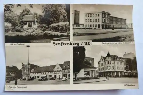 AK Senftenberg Niederlausitz 4 Ansichten