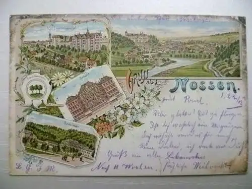 Litho-AK Nossen Kgl. Landesanstalt, Schule, Seminar, Stadtansicht