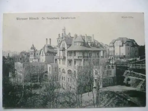 AK Dresden Weisser Hirsch Dr. Teuschers Sanatorium Wald-Villa