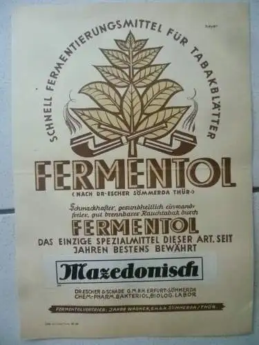 Werbeblatt A4 Fermentol Drescher & Schade GmbH Erfurt-Sömmerda 1925