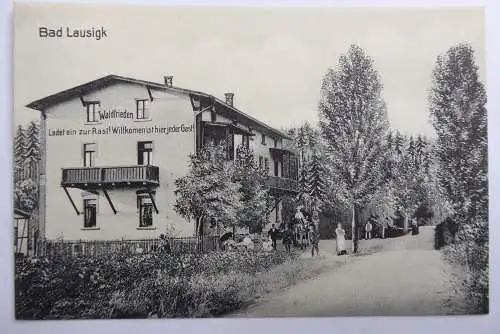 AK Bad Lausigk Gasthaus Waldfrieden