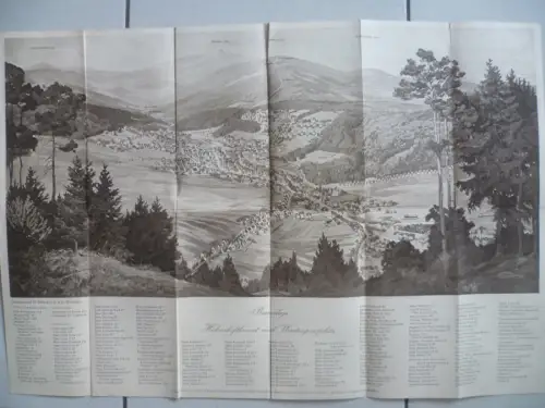 Braunlage im Harz Luftbild-Panorama mit Hausnummern 1930er Jahre