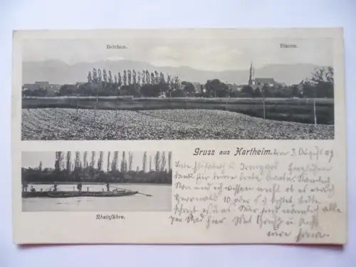 AK Hartheim Ortsansicht mit Belchen und Blauen, Rheinfähre