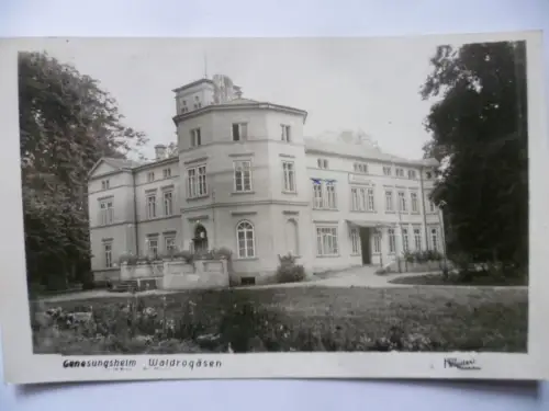 3 Foto-AK Genesungsheim Waldrogäsen