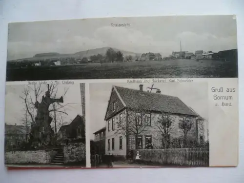 AK Bornum am Harz Totalansicht Linde Kaufhaus und Bäckerei