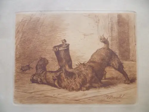 Hund auf Mäusejagd Radierung Carl Johann Arnold um 1880