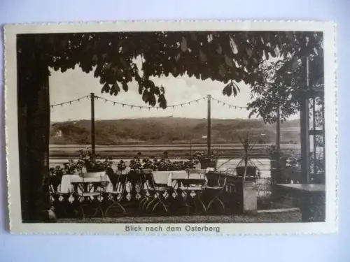 AK Kötzschenbroda Kleines Kuffenhaus Blick n. Osterberg