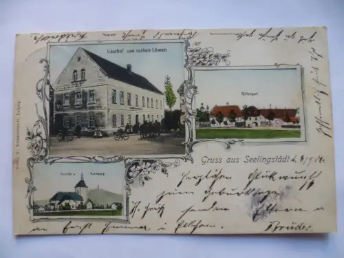 AK Seelingstädt Trebsen Gasthof zum rothen Löwen Rittergut Kirche u. Golmberg