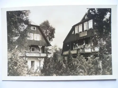 Foto-AK Waldbaude Post Wurzelsdorf Isergebirge