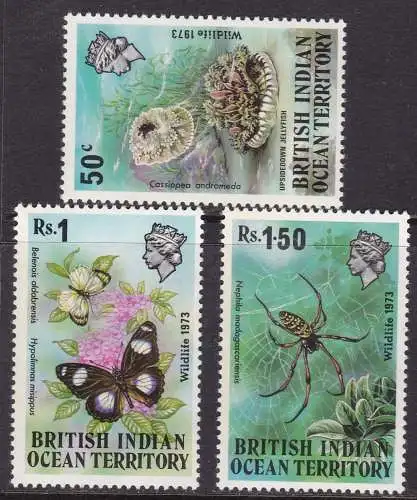 1973 BIOT / BRITISCHES INDISCHES OZEANGEBIET / INDISCHER OZEAN - Yv. 54/56 Serie von 3 MNH/**