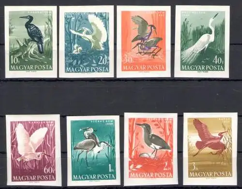 1959 Ungarn - Wasservögel - Ungezahnt - MiNr. 1593B/1600B - 8 Werte - postfrisch** - Auflage 3533 Exemplare