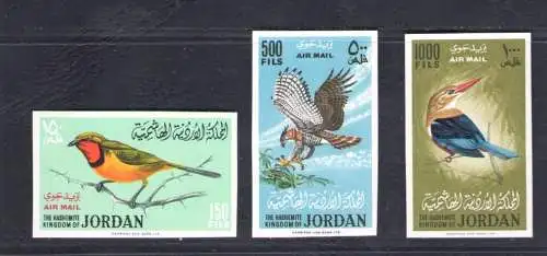 1964 Jordanien - Luftpost - Gibbons 627/29 - Vögel - Ungezahnt postfrisch**