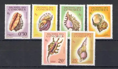 1962 Komoren - Yvert-Katalog Nr. 19-24 - Muscheln - 6 Werte - postfrisch**